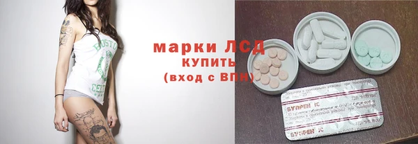 МДПВ Краснослободск