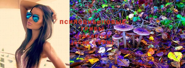 меф Корсаков